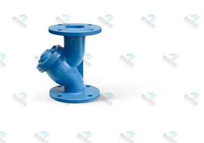 Filtre Y de décontaminateur en fonte Filtre Y en acier inoxydable